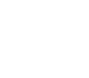damians painting chicagos best painting company