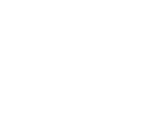 damians painting chicagos best painting company