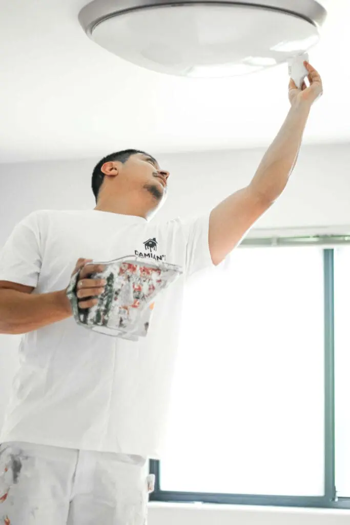 damians painting services des plains il