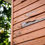 Peeling paint on wood siding showing how to tell when exterior paint is starting to fail.