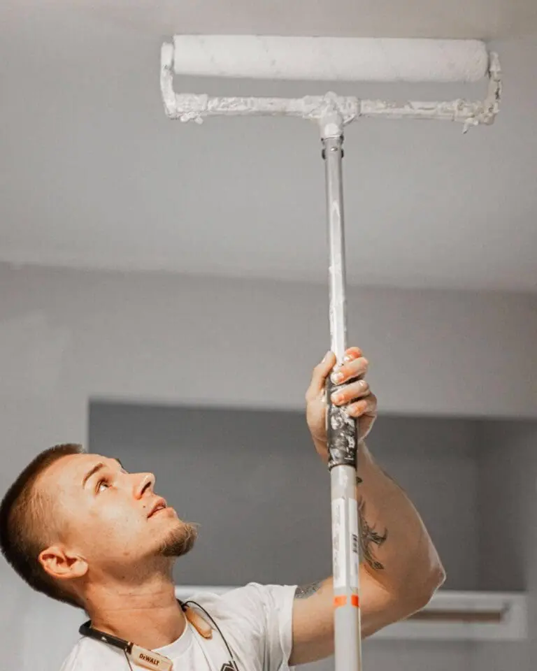 top rated painters in schaumburg il